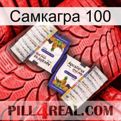 Самкагра 100 12